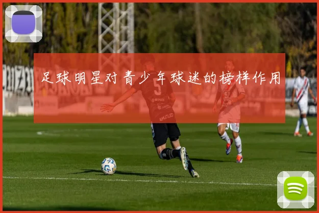 足球明星对青少年球迷的榜样作用