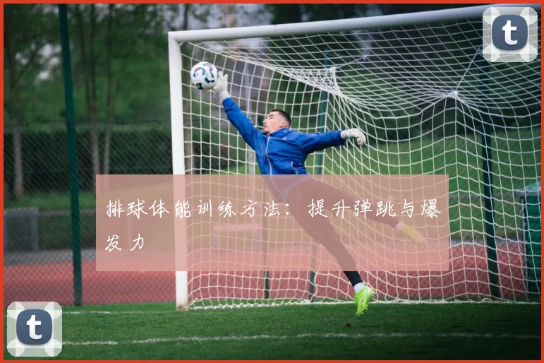 排球体能训练方法:提升弹跳与爆发力